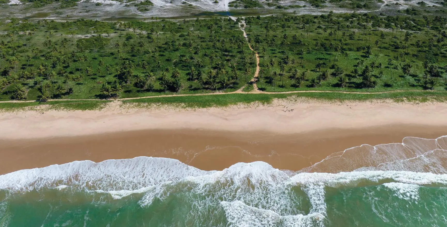 Praia preservada da Reserva Apoema, Litoral Norte da Bahia